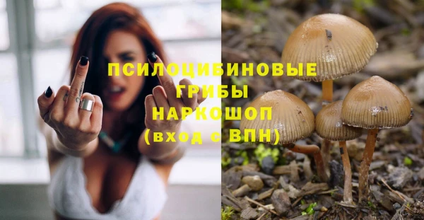 трава Абдулино